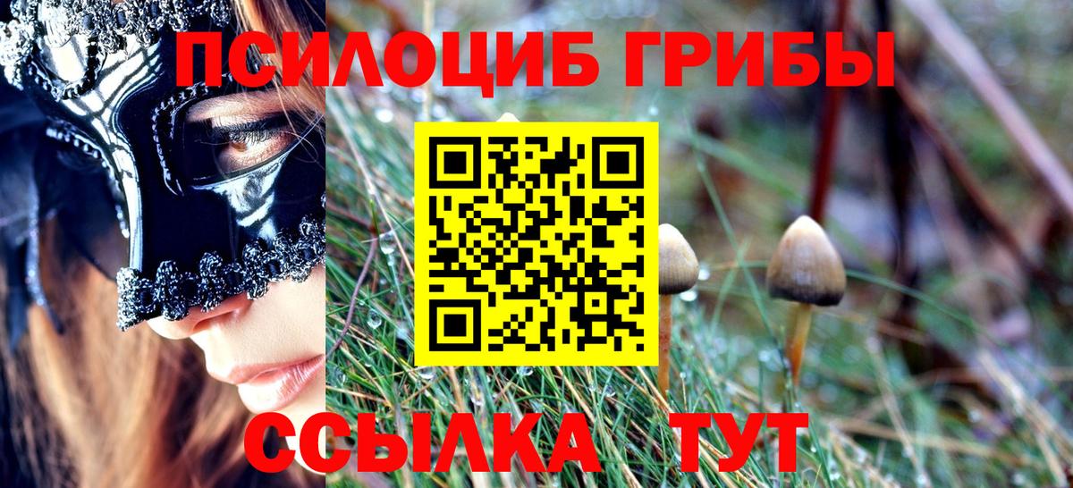 Губкин  Псилоцибиновые грибы прущие грибы  Вход с VPN  Галлюциногенные грибы прущие грибы 