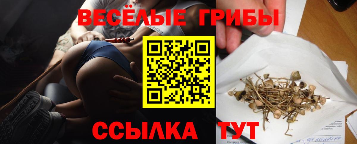 Псилоцибиновые грибы Psilocybine cubensis Губкин