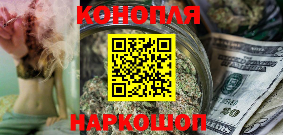 Конопля план Губкин